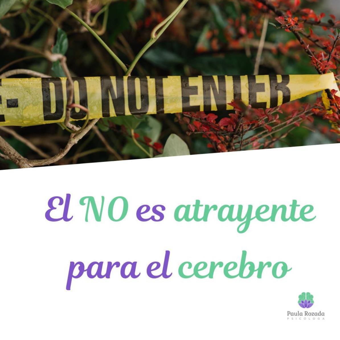 PAULA-ROZADA-el-no-es-atrayente